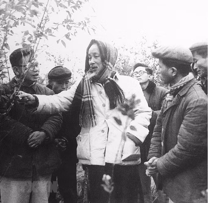 Bác Hồ - vị lãnh tụ giản dị, gần gũi với nhân dân ảnh 9