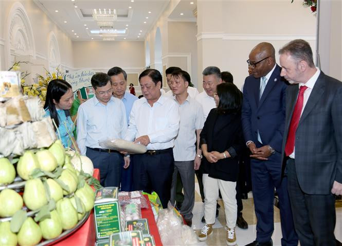 Đại biểu dự hội thảo tham quan các gian trưng bày sản phẩm OCOP tiêu biểu của Tuyên Quang. Ảnh: Nam Sương - TTXVN Giải pháp phát triển sản phẩm OCOP và du lịch nông thôn ảnh 1