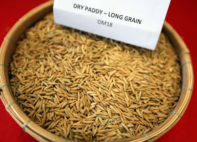 Vận hội mới cho Đồng bằng sông Cửu Long ảnh 11