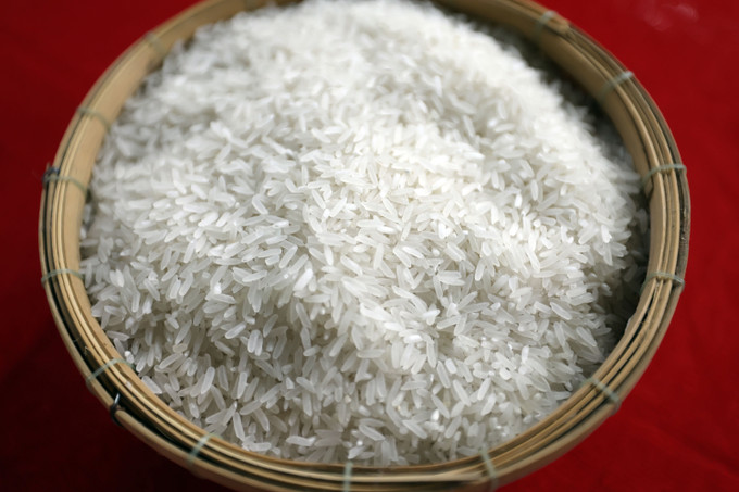 Vận hội mới cho Đồng bằng sông Cửu Long ảnh 14