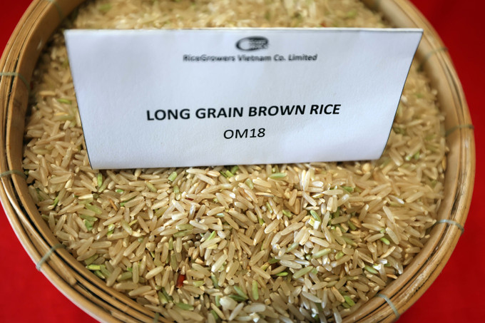 Vận hội mới cho Đồng bằng sông Cửu Long ảnh 12