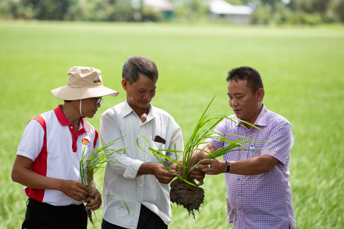 Tiến sỹ Nguyễn Hồng Tín (Viện Nghiên cứu phát triển Đồng bằng sông Cửu Long, Đại học Cần Thơ) trao đổi với nông dân ấp Tân An, xã Bình Thạnh Trung, huyện Lấp Vò, tỉnh Đồng Tháp. Ảnh: ACIAR Vận hội mới cho Đồng bằng sông Cửu Long ảnh 7