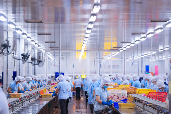 Nhà máy chế biến các tra Ấn Độ Dương đã hoàn thiện chuỗi giá trị khép kín trong nuôi trồng và chế biến thủy sản đảm bảo an toàn thực phẩm, tránh gây lãng phí nguyên liệu và sức lao động. Hiện nhà máy có khoảng 1.200 nhân công, trong đó có nhiều người là bà con các dân tộc Khmer, Hoa trong vùng. Ảnh: Trọng Chính Vận hội mới cho Đồng bằng sông Cửu Long ảnh 20