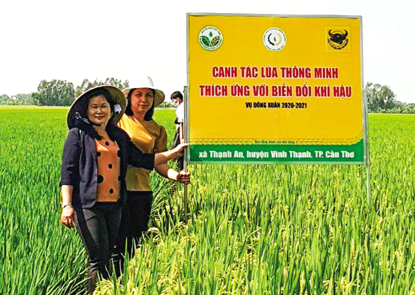 Nhân rộng mô hình canh tác lúa thân thiện với môi trường