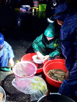 Khám phá 'chợ ma' Tha La