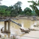 Nhiều cầu treo bị lũ kéo đổ sập, cuốn trôi trong đợt mưa lũ lịch sử tại Nghệ An