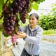 Chạm giấc mơ khởi nghiệp từ những chùm nho Hạ Đen