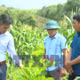 Hỗ trợ sinh kế để người dân vùng cao thoát nghèo