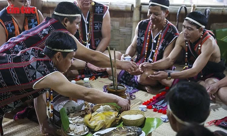 Tái hiện lễ kết nghĩa Cơ Tu: Gìn giữ mạch nguồn đoàn kết giữa đại ngàn