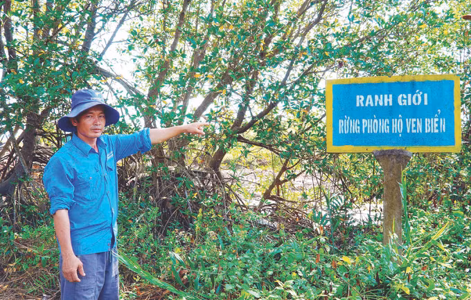 Phat trien kinh te gan bao ve rung o Kien Giang 1.jpg
