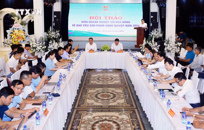 vna_potal_hoi_thao_doanh_nghiep_voi_nha_nong_2024_7342667.jpg