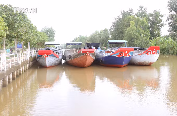 vna_potal_soc_trang_thu_hoach_lua_he_thu_dau_vu___7521750.jpg