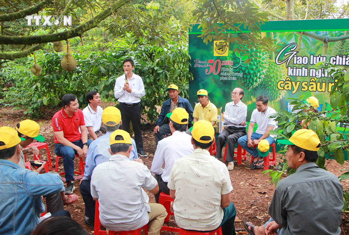 Giao lưu, chia sẻ kiến thức trồng, chăm sóc sầu riêng với du khách tại điểm tham quan. Ảnh: Hoài Thu - TTXVN vna_potal_dak_lak_trai_nghiem_va_thuong_thuc_sau_rieng_tai_vuon_thu_hut_du_khach_7570460.jpg