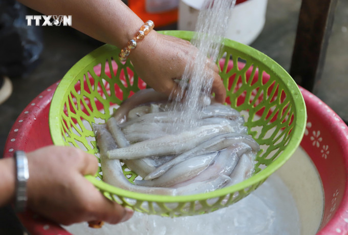 Sơ chế cá cháo bằng nước sạch. Ảnh: Xuân Tiến - TTXVN vna_potal_canh_ca_chao_-_mon_an_dac_trung_cua_nguoi_dan_xu_bien_dien_chau_nghe_an_7703256.jpg