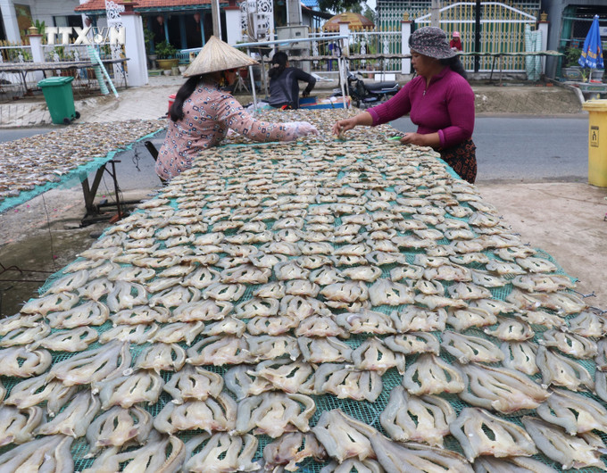 Công đoạn đảo cá phơi nắng của Cơ sở sản xuất khô Thanh Ngân ở xã Phú Thọ huyện Tam Nông, tỉnh Đồng Tháp. Ảnh: Nguyễn Văn Trí - TTXVN vna_potal_nhon_nhip_lang_nghe_lam_kho_ca_loc_phuc_vu_tet_o_phu_tho_dong_thap_7760406.jpg