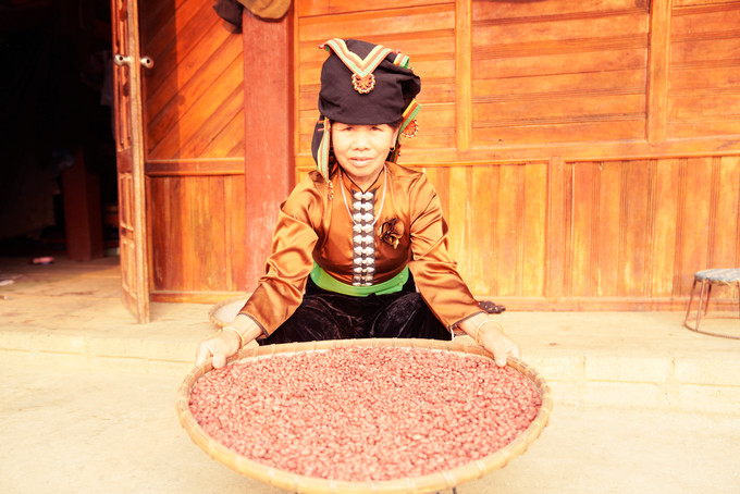 Gia đình bà Lò Thị Mấng ở bản Sư Lư, xã Na Son, huyện Điện Biên Đông có cuộc sống ổn định hơn nhờ trồng lạc đỏ. Ảnh: Hương Hiền _DUC8964.JPG