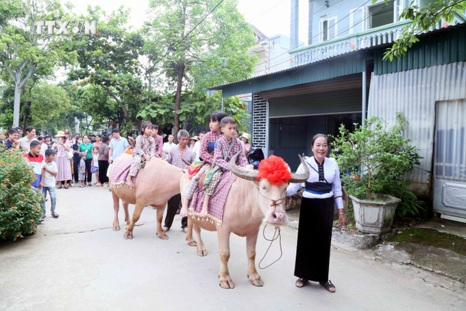 Lễ rước trâu tại Nghi lễ “Tết Xíp xí” của người Thái trắng huyện Phù Yên. Ảnh: Quang Quyết – TTXVN vna_potal_chung_nhan_nghi_le_“tet_xip_xi”_la_di_san_van_hoa_phi_vat_the_quoc_gia_7541743.jpg