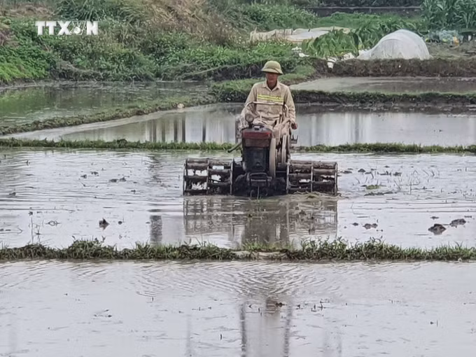 vna_potal_nong_dan_vinh_phuc_xuong_dong_gieo_cay_vu_dong_xuan_7234378.jpg