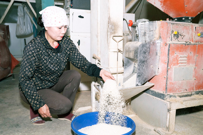 Những hạt gạo trắng ngần, thoảng hương thơm được người tiêu dùng ưa chuộng. Ảnh: Hương Hiền _DUC8303.JPG