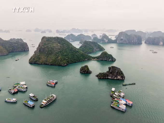 vna_potal_chiem_nguong_ky_quan_thien_nhien_the_gioi_vinh_ha_long__7724896.jpg