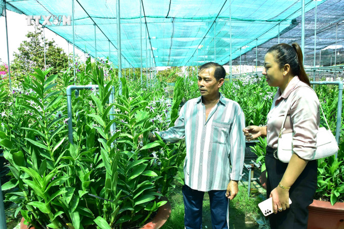 Nông dân Bùi Văn Nàng (bên trái), xã Long Đức, thành phố Trà Vinh trồng hoa lan trên diện tích 1.500 m2 cho thu nhập 100-150 triệu đồng/năm. Ảnh: Thanh Hòa- TTXVN vna_potal_nhieu_chuyen_bien_o_vung_nong_thon_tra_vinh_7529342.jpg