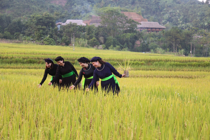 11-xa Nghia Do-Bao Yen-Lao Cai-Huong Thu.jpg