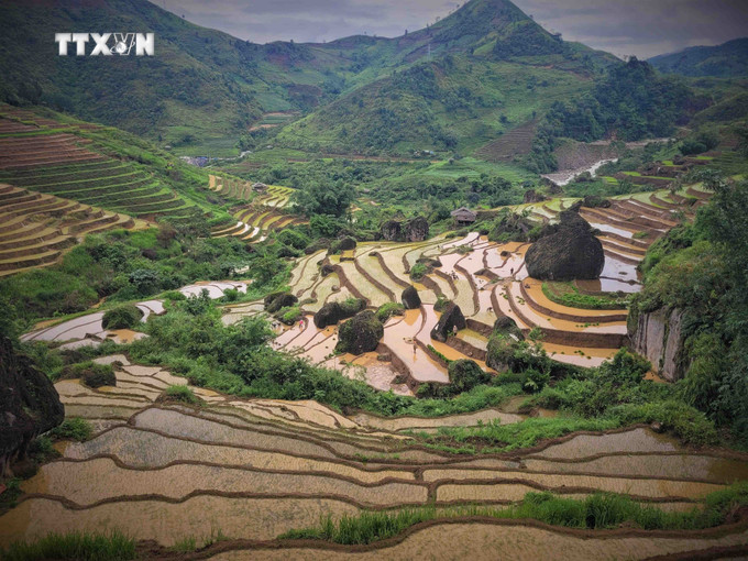 Vẻ đẹp của những thửa ruộng bậc thang Khun Há, huyện Tam Đường, tỉnh Lai Châu vào mùa nước đổ. Ảnh: Nguyễn Oanh-TTXVN vna_potal_du_lich_viet_nam_ruong_bac_thang_khun_ha_vao_mua_nuoc_do_7417975.jpg