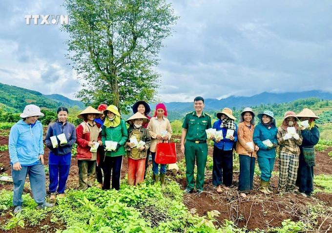 Thiếu tá Nguyễn Văn Bằng mang giống lúa, giống ngô năng suất cao về giúp bà con dân bản xóa đói giảm nghèo. Ảnh: Nguyên Linh-TTXVN vna_potal_nguoi_linh_bien_phong_quang_tri_mang_mua_vang_no_am_den_dan_ban_7647710.jpg