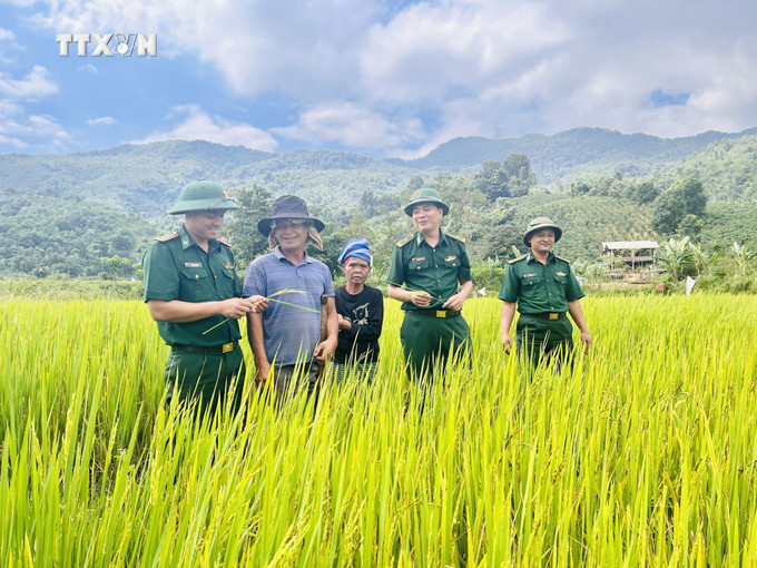 Thiếu tá Nguyễn Văn Bằng và chiến sỹ Đồn biên phòng Hướng Phùng hướng dẫn người dân Hướng Phùng thực hiện cánh đồng mẫu biên giới. Ảnh: Nguyên Linh-TTXVN vna_potal_nguoi_linh_bien_phong_quang_tri_mang_mua_vang_no_am_den_dan_ban_7647714.jpg