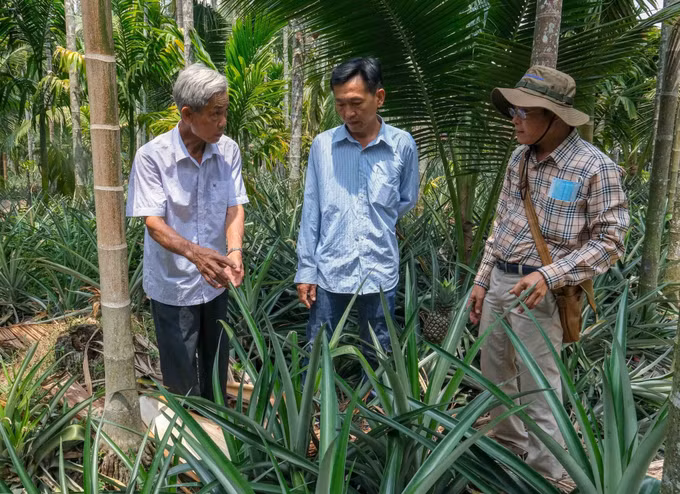 1-hieu qua mo hinh thich ung bien doi khi hau-kien giang-van chi.jpg