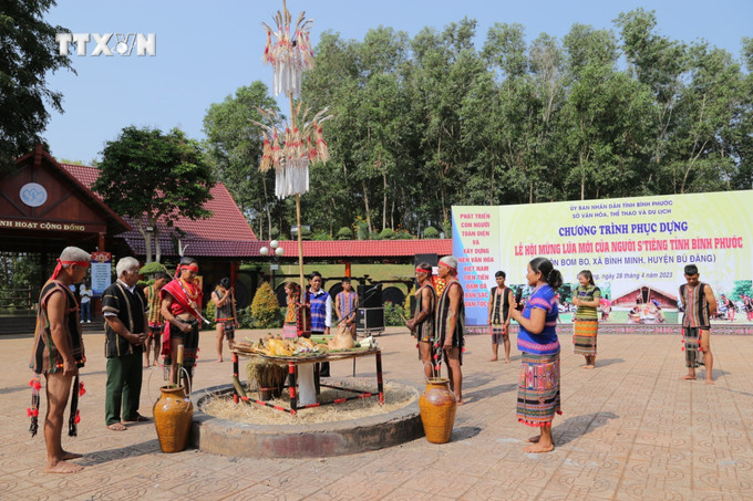 Quang cảnh buổi phục dựng lễ mừng lúa mới của đồng bào dân tộc S’tiêng. Ảnh: K GỬIH -TTXVN vna_potal_phuc_dung_le_hoi_mung_lua_moi_cua_dan_toc_s’tieng_6706320.jpg