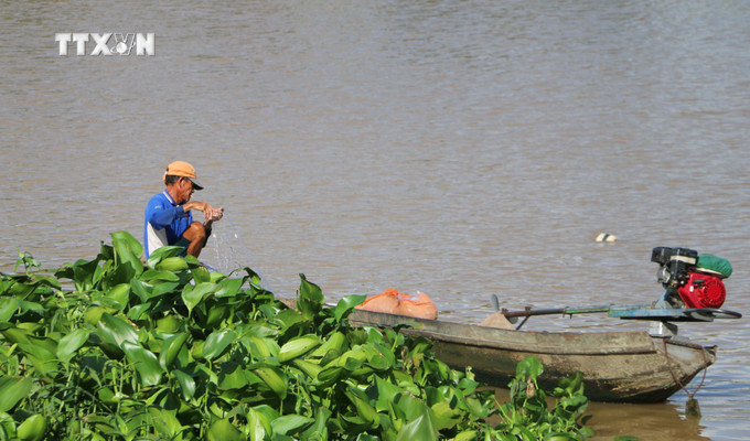 Người dân đầu nguồn biên giới đánh bắt cá trên kênh Vĩnh Tế, thuộc phường Nhơn Hưng, thị xã Tịnh Biên, tỉnh An Giang. Ảnh: Công Mạo-TTXVN vna_potal_nong_dan_dau_nguon_bien_gioi_an_giang_“ngong_lu”_7535504.jpg