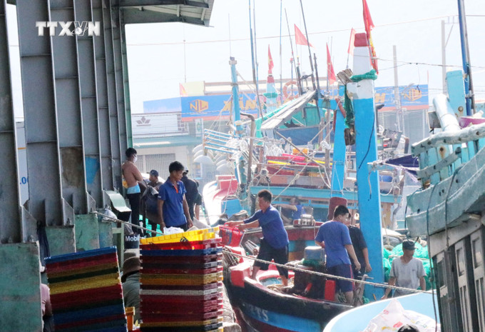 Nhiều tàu thuyền vào cập cảng Cà Ná (huyện Thuận Nam) để bán hải sản khai thác được. Ảnh: Công Thử - TTXVN vna_potal_ninh_thuan_phat_trien_huyen_thuan_nam_thanh_vung_kinh_te_trong_diem_phia_nam_7623886.jpg