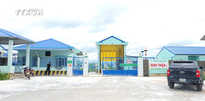 Trang trại chăn nuôi heo Minh Thiện I, thôn Đoàn Kết, xã Ia Piơr, huyện Chư Prông, tỉnh Gia Lai đang bị người dân phản ánh về tình trạng ô nhiễm môi trường. Ảnh: Hoài Nam - TTXVN vna_potal_bao_ve_moi_truong_nguoi_dan_ia_pior_gia_lai_keu_cuu_ve_tinh_trang_o_nhiem_tu_cac_trai_heo_7521182.jpg