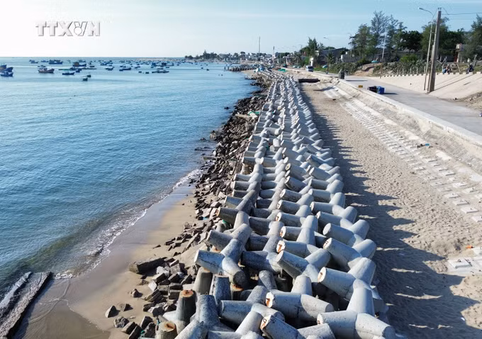 vna_potal_ninh_thuan_chu_dong_phong_chong_thien_tai_dam_bao_an_toan_mua_mua_bao_2024_7512618.jpg