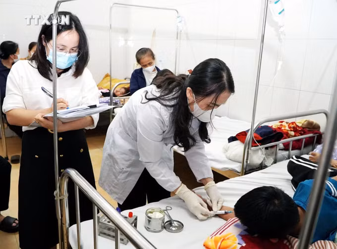 vna_potal_ha_tinh_xuat_hien_o_dich_soi_o_huyen_duc_tho_7295085.jpg
