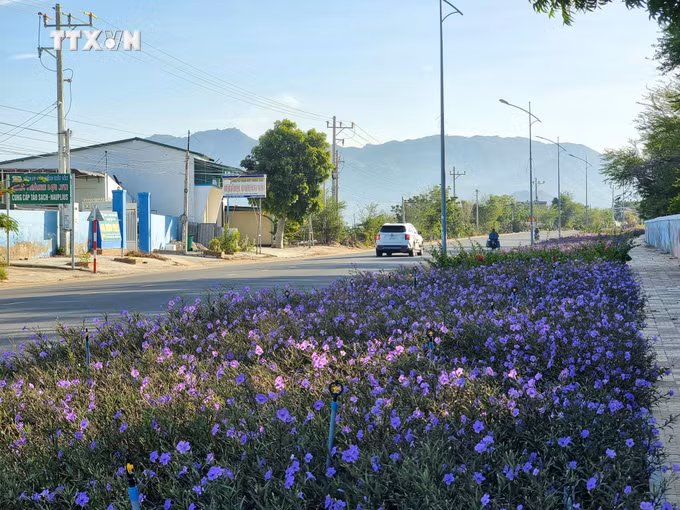 vna_potal_ninh_thuan_tang_cuong_huy_dong_cac_nguon_luc_xay_dung_nong_thon_moi_7584814.jpg