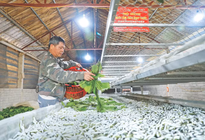 6-tuan anh px Yen Bai.JPG