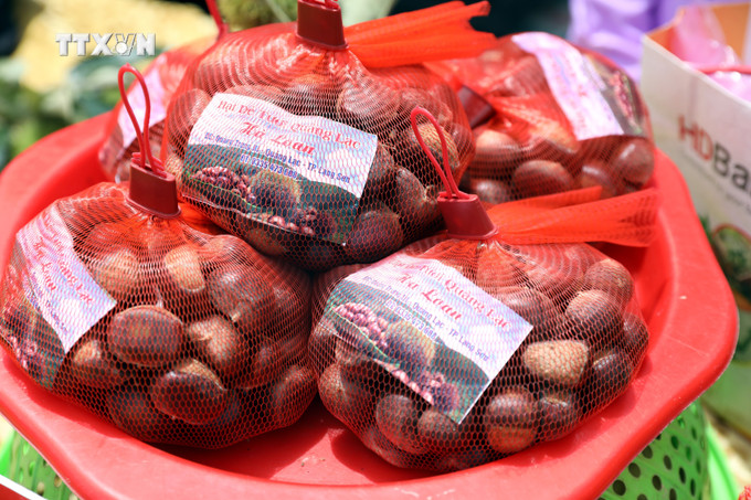Sản phẩm hạt dẻ Quảng Lạc, thành phố Lạng Sơn có đặc trưng hạt to, ăn bùi và rất thơm. Ảnh: Văn Đạt - TTXVN vna_potal_quang_ba_dac_san_hat_de_quang_lac_-_lang_son_7555850.jpg