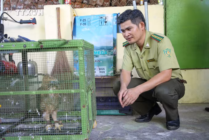 vna_potal_tang_cuong_cong_tac_quan_ly_bao_ve_cac_loai_dong_vat_hoang_da_7625314.jpg