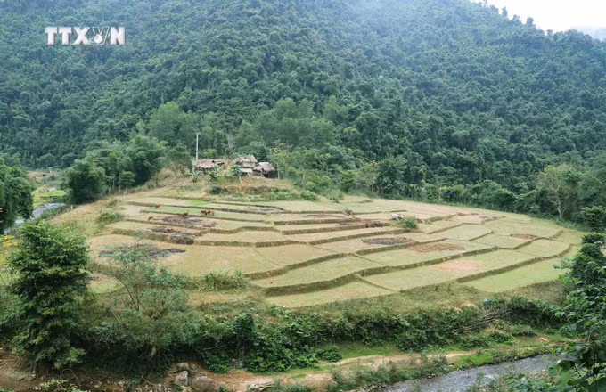 vna_potal_binh_yen_nhung_ban_lang_noi_dai_ngan_khu_bao_ton_thien_nhien_pu_huong_7135363.jpg