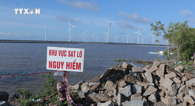Rừng phòng hộ ven biển tỉnh Bạc Liêu bảo vệ người dân trước những tác động của biến đổi khí hậu như nước biển dâng, xói lở ven biển. Ảnh: TTXVN phát vna_potal_bac_lieu_trong_rung_gop_phan_ung_pho_voi_bien_doi_khi_hau_7630286.jpg