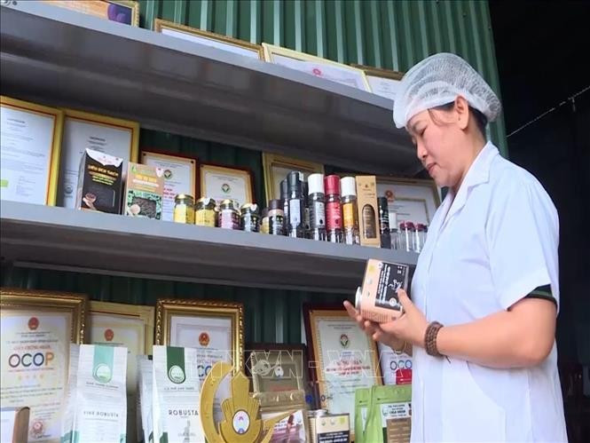 Kiểm tra chất lượng các sản phẩm hồ tiêu của Hợp tác xã Nông nghiệp và Dịch vụ Nam Yang (xã Kon Gang, tỉnh Gia Lai). hotieu-6.jpg