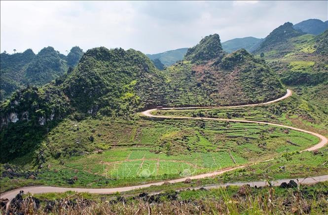 Cao nguyên đá Đồng Văn. Ảnh: TTXVN phát ca0-nguyen-da-3.jpg