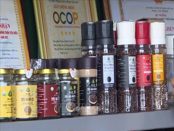 Các sản phẩm hồ tiêu của Hợp tác xã Nông nghiệp và Dịch vụ Nam Yang (xã Kon Gang, tỉnh Gia Lai) đạt chứng nhận hữu cơ USDA (Mỹ). hotieu-5.jpg