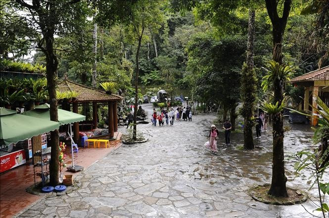 Du khách đến với Vườn Quốc gia Ba Vì. Ảnh tư liệu(minh họa): Mạnh Khánh - TTXVN vuon-quoc-gia-ba-vi.jpg