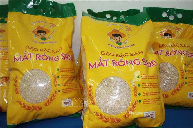 Lai tạo thành công giống lúa mới từ nguồn gen lúa màu cổ truyền