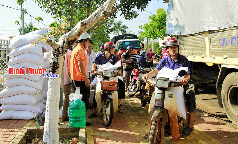 Phân bổ gạo cho học sinh ở xã đặc biệt khó khăn của Bình Phước