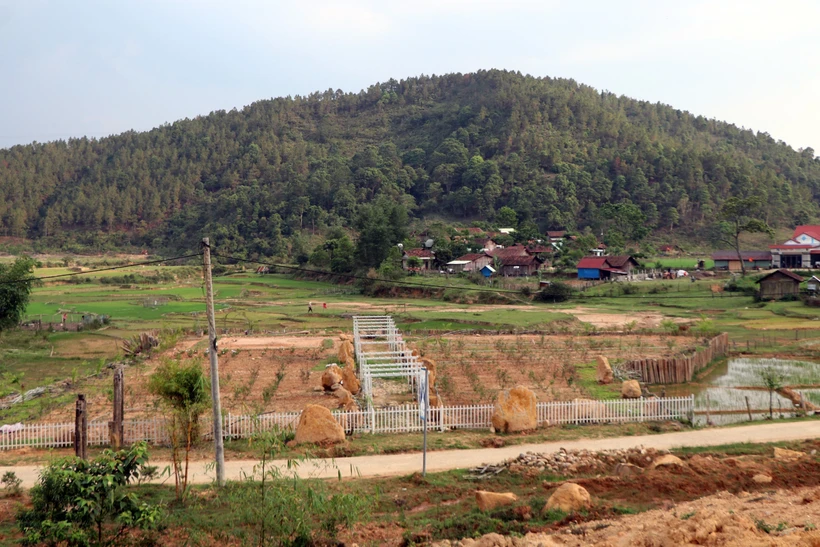 Huyện Kon Plông lập Tổ công tác đặc biệt kiểm tra, xử lý vi phạm về đất đai