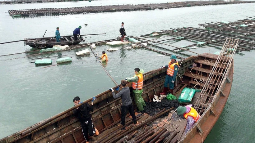 Ngư dân Quảng Ninh bộn bề lo toan làm mới nghề nuôi trồng thủy sản